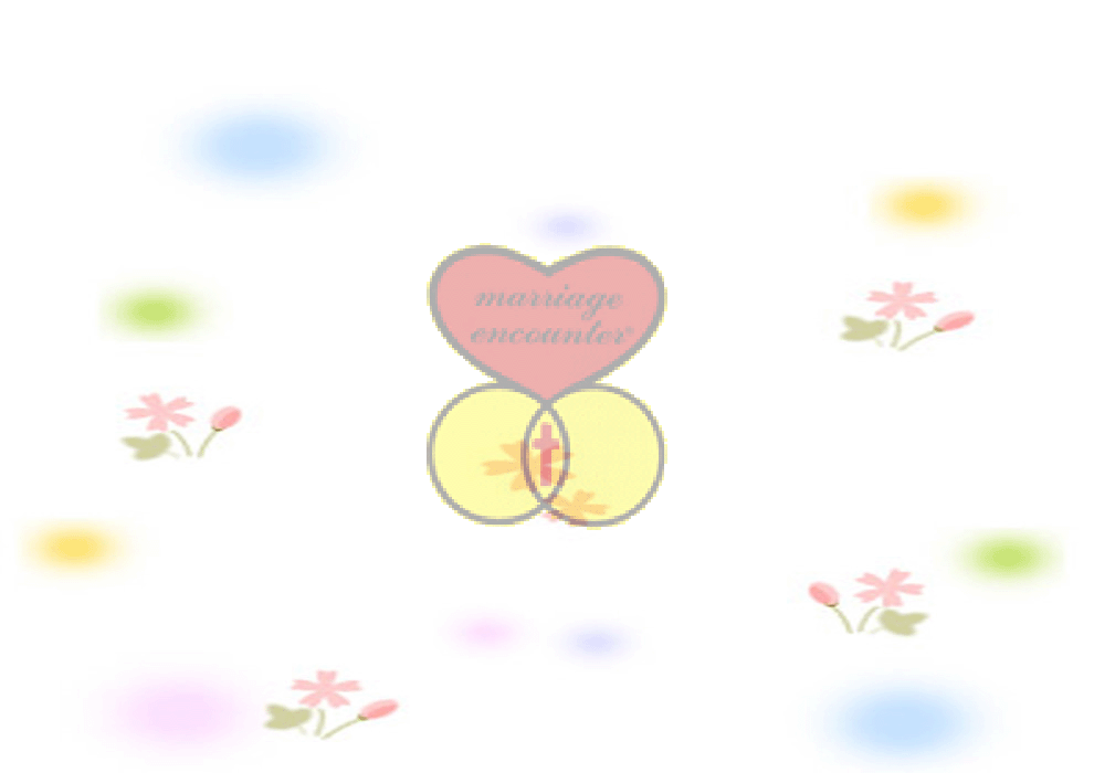 meten_990_700_BG_meten_990_700_BG_meten_990_700_BG_back01.gif